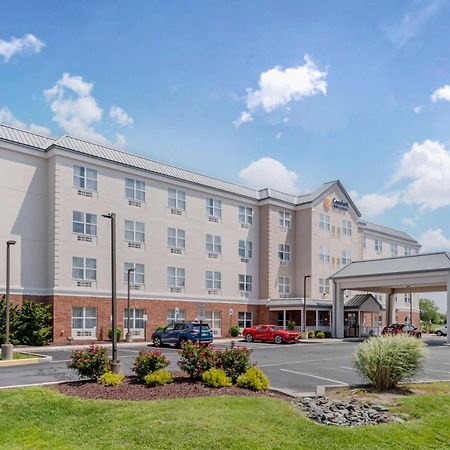 דובר Comfort Inn & Suites מראה חיצוני תמונה