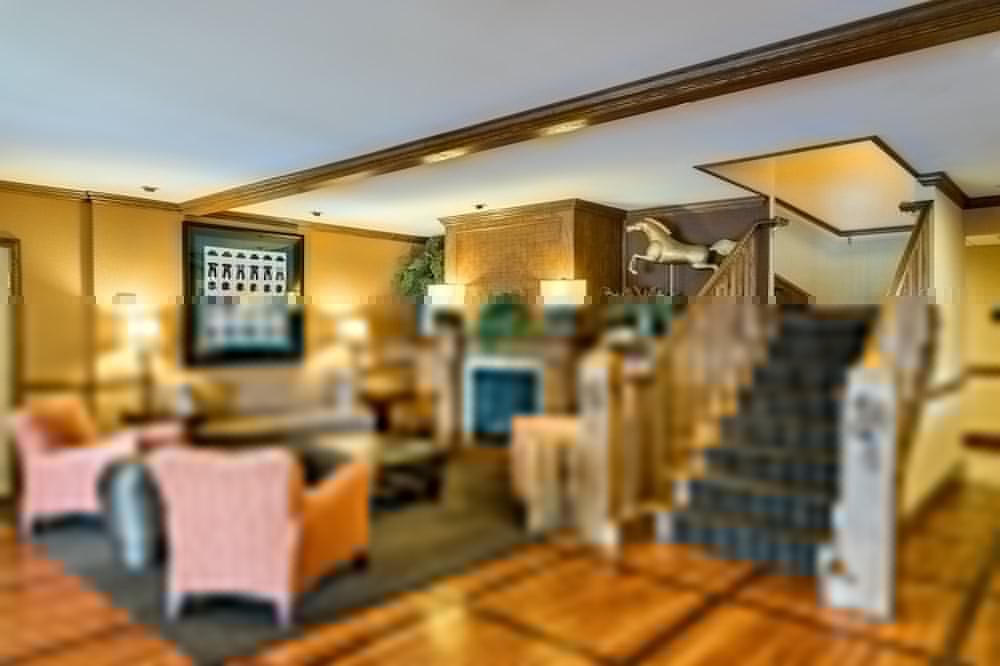דובר Comfort Inn & Suites מראה חיצוני תמונה