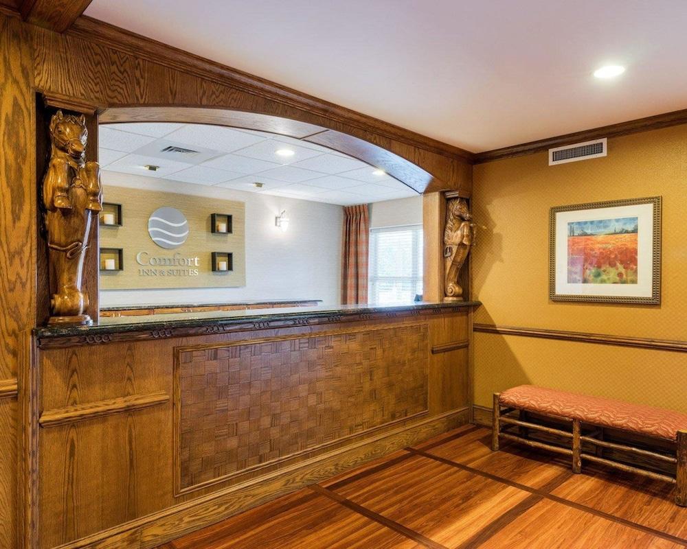 דובר Comfort Inn & Suites מראה חיצוני תמונה