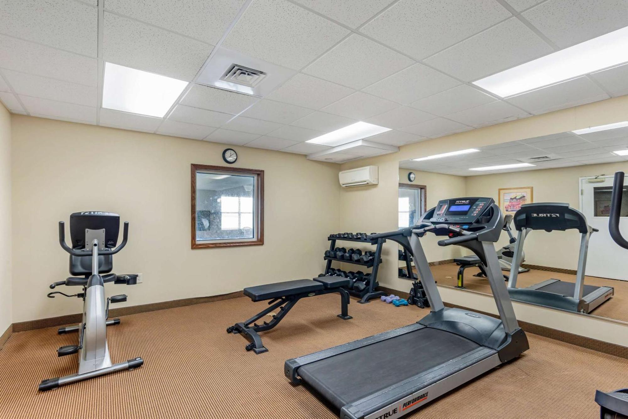 דובר Comfort Inn & Suites מראה חיצוני תמונה